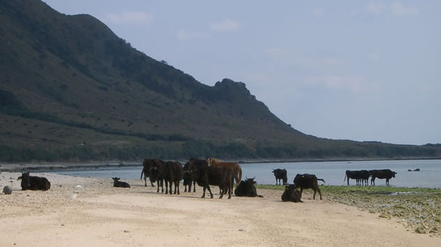 サンシャイン石垣島